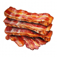 bacon ClipArt illustration png