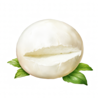 Mozzarella Clip Art Illustration png