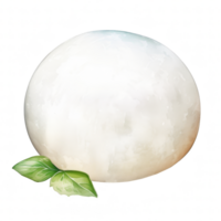 Mozzarella clipart illustrazione png