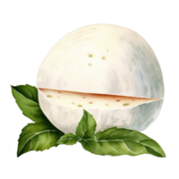 Mozzarella clipart illustrazione png