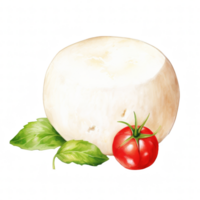 Mozzarella Clip Art Illustration png