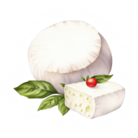 Mozzarella Clipart Illustration png