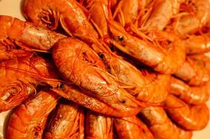 selective focus, detail of a tray of boiled prawns photo