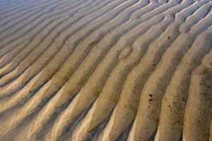 water furrows on the shore of a beach during low tide at sunset photo