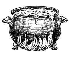 Boiling witch s cauldron sketch. Witchcraft item ink sketch. Halloween hand drawn vector