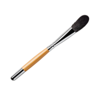Makeup brush with a metallic handle. A stylish accessory for professional makeup. png
