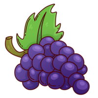 Fruta uvas dibujos animados dibujo sano png