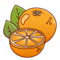 fruta laranja desenho animado desenhando saudável png