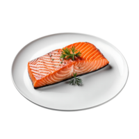 Salmon steak with aromatic rosemary served on a white plate. Top view. png
