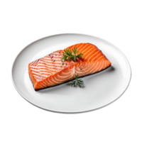 salmón filete con aromático Romero servido en un blanco lámina. parte superior vista. png