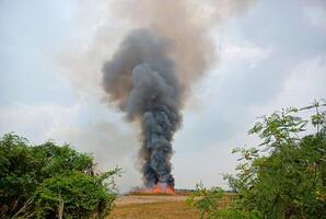 Farmers burn rice fields causing air pollution. photo