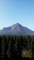 Montagne vue avec premier plan des arbres video