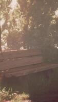 Sunlit Wooden Bench in Serene Park at Dawn video