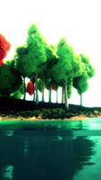 Bäume durch Wasser Kante video