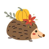 Autumn fall thanksgiving animal character with fall leaves and flowers vector