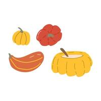 Autumn fall thanksgiving elements collection with harvest icons vector