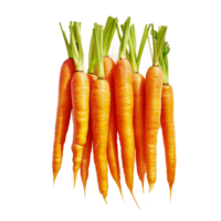 carote isolato su trasparente sfondo png