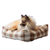 hond zittend Aan de sofa png