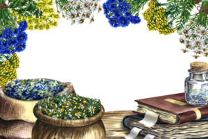 Medicinal herbs of cornflower, chamomile, tansy and St. John's wort. In a wooden pot and a linen bag. Glass vial on an old recipe book. Watercolor hand drawn illustration. png