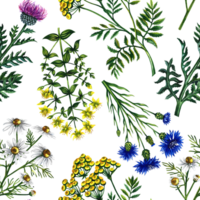 Seamless pattern with wild flowers. Watercolor hand drawn illustration. For design solutions for backgrounds, packaging, labels and textiles. For banners, flyers and postcards. png