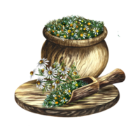 Pharmacy chamomile. Dry, crushed medicinal herb in a wooden pot. Wooden scoop and cutting board. Herbal soothing tea. Isolate, tercolor hand drawn illustration. Healthy tea. png