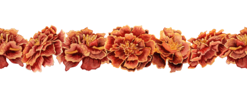 Marigold flowers seamless border. Tagetes floral botanical garland. Watercolor illustration cutout on transparent background. Day of the Dead symbol. Mexican celebrations, prints, postcard designs png