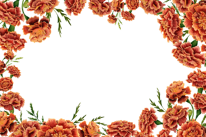 ringblomma blomma kopia Plats vykort design. blommig tagetes ram för din text. vattenfärg illustration isolerat på transparent bakgrund. för födelsedag och bröllop inbjudningar, gåvor, certifikat png