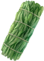 Frankincense smudge stick png