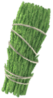 Cedar smudge stick png