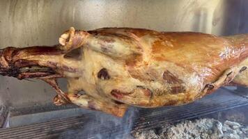 grande pedazo carne cocido a escupir, cerdo asado en abierto fuego, jugoso frito baquetas en carbón parrilla, asado Cerdo pierna a parrilla, asado carne, Fresco preparado carne, lento movimiento video