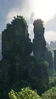 groupe de rochers dans forêt video