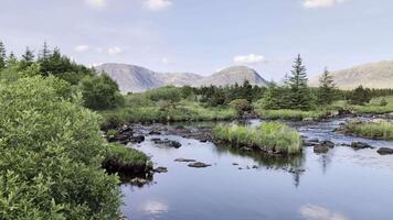 schön Landschaft Landschaft, Fluss mit Berge und Kiefer Bäume Betrachtung, Natur Hintergrund derryclare natürlich Reservieren beim connemara National Park, Bezirk Galway, Irland, Hintergrund video