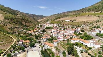 douro vin område. skön natur landskap portugal video