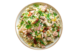 Mediterranean Orzo Salad with Tuna Artichoke on a transparent background png