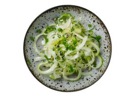 Fennel Cucumber Celery Salad on a transparent background png