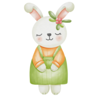 rabbit and carrot png