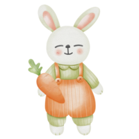 lapin et carotte png