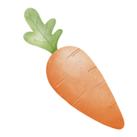 konijn en wortel png