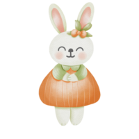 lapin et carotte png