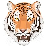 The head of a roaring Amur tiger on a white background. An endangered animal vector