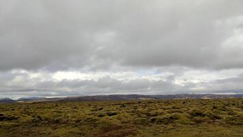 Traveling through an ancient lava field in Iceland, now covered with lush green moss. video