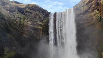 ein schließen horizontal Aussicht von Skogafoss Wasserfall mit Möwen fliegend um video