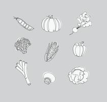 Vegetables icons peas, pumpkin, radish, broccoli, corn, pepper, leek, champignon cabbage drawing in linear style on white background vector