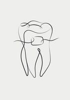 Tooth braces illustration in linear style drawing on white background vector