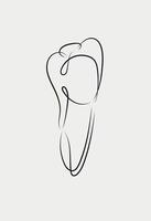 Healthy tooth in linear style drawing on white background vector