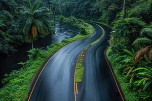 the river along with a road going through the border of the road professional photography photo