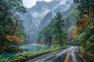 the river along with a road going through the border of the road professional photography photo