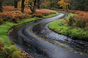 the river along with a road going through the border of the road professional photography photo