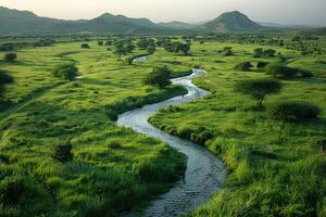 the river along with a road going through the border of the road professional photography photo