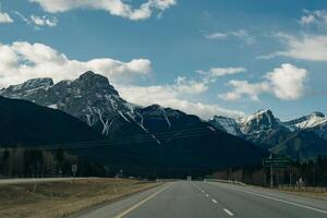 transcanadá autopista en banff nacional parque, demostración el fauna silvestre cruce paso superior foto